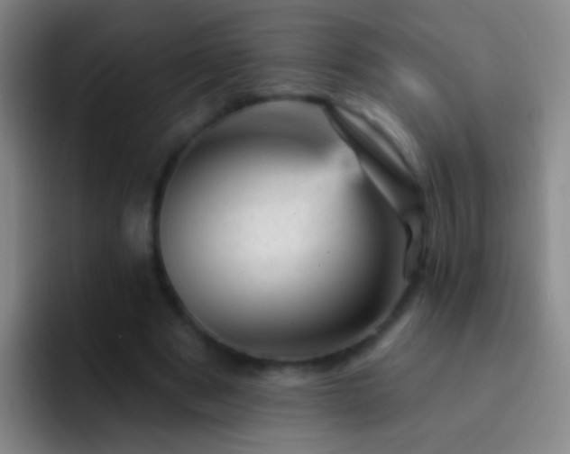 X0000092300489200709211234