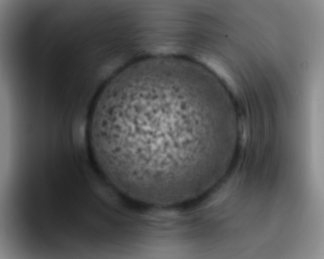 X0000092300491200709211234