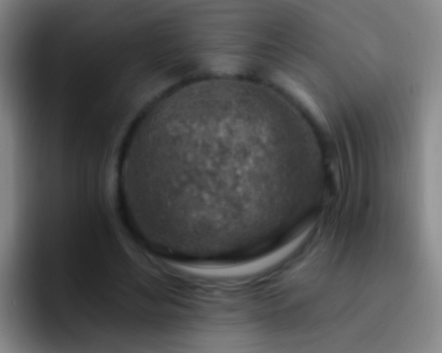 X0000092300492200709211234