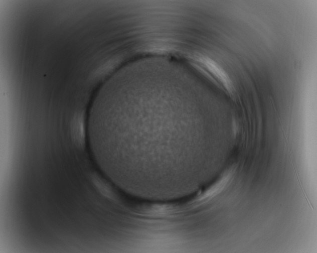 X0000092300493200709211234