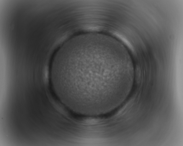 X0000092300494200709211234