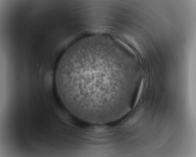 X0000092300495200709211234