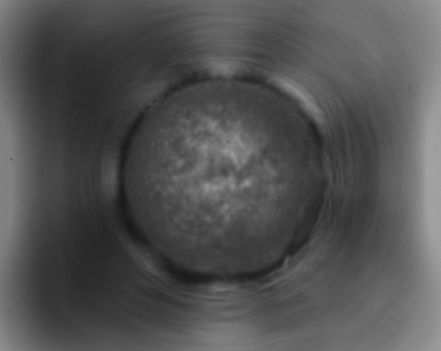 X0000092300496200709211234