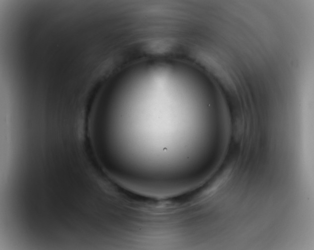 X0000092300497200709211234
