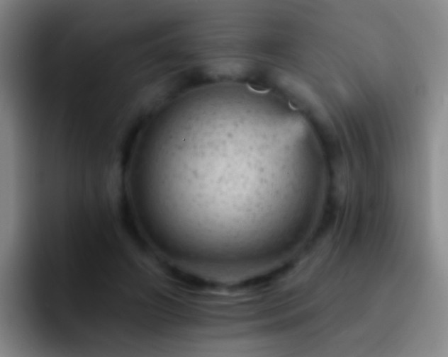 X0000092300498200709211234