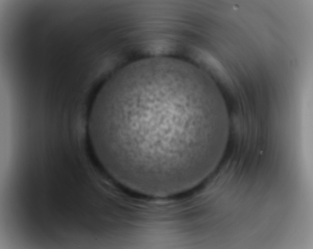 X0000092300499200709211234