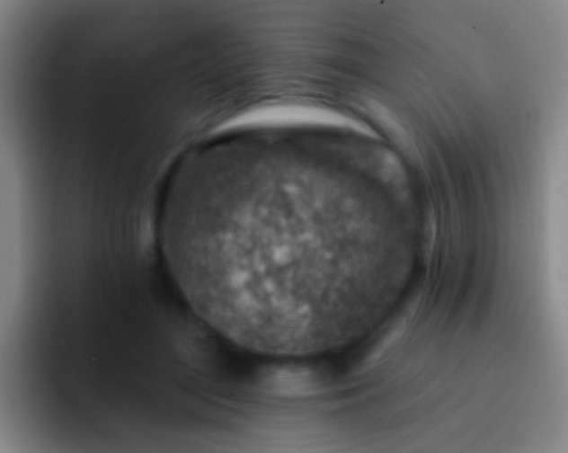 X0000092300500200709211234