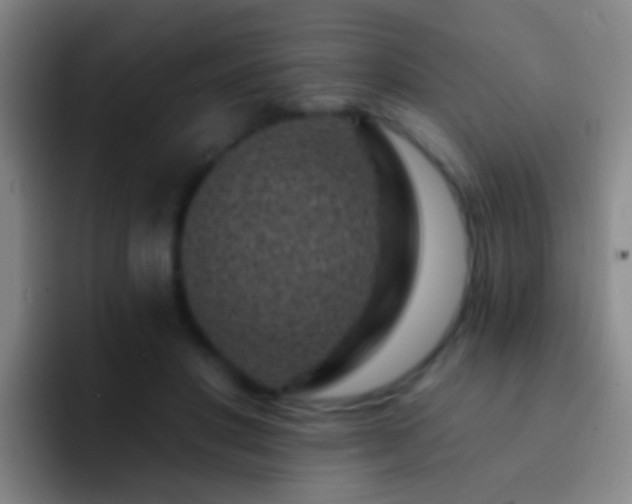 X0000092300501200709211234