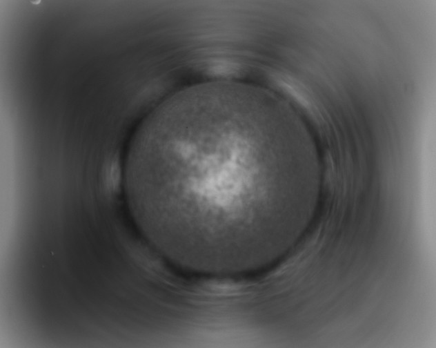 X0000092300502200709211234