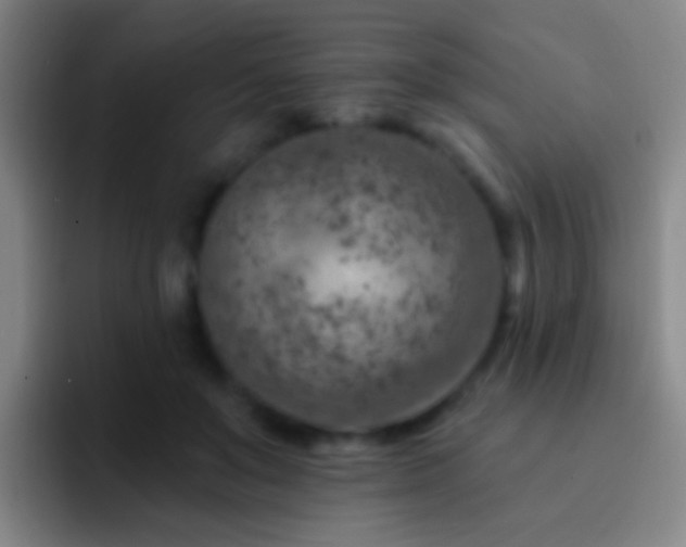 X0000092300503200709211234