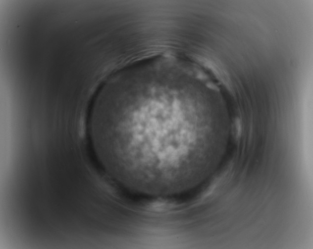 X0000092300504200709211234