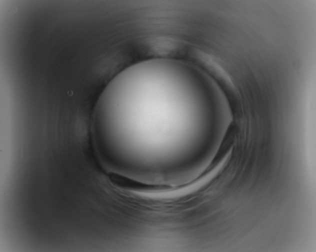 X0000092300505200709211234