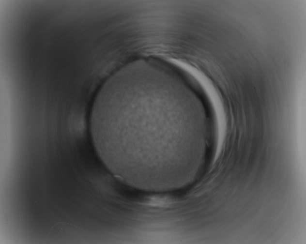 X0000092300508200709211234