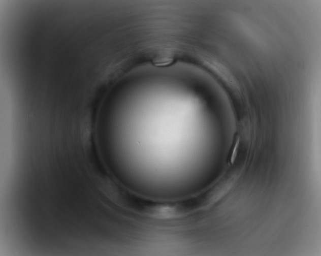 X0000092300509200709211234
