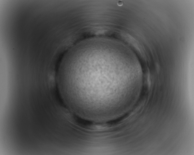 X0000092300510200709211234