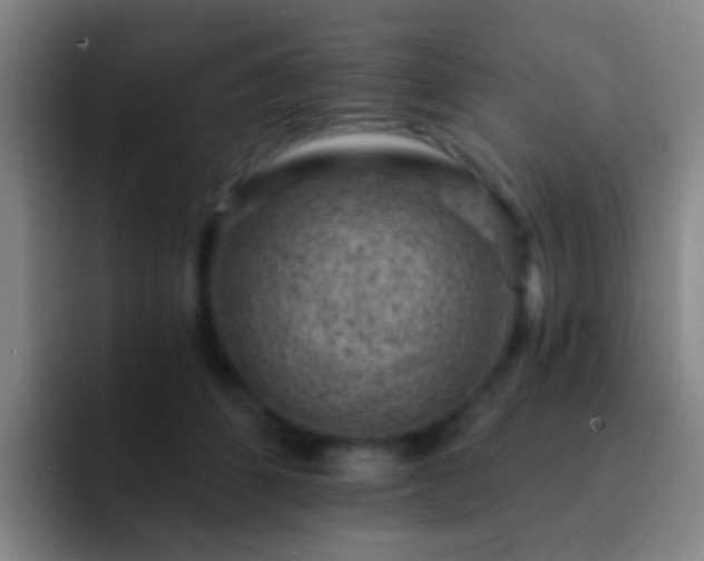 X0000092300512200709211234