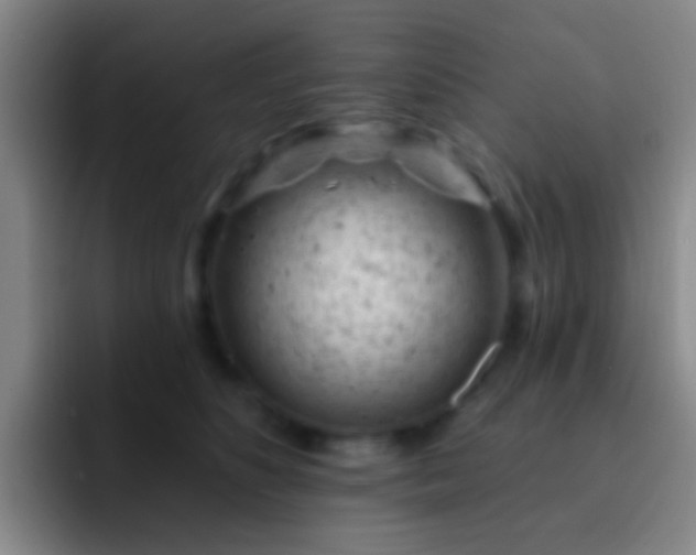 X0000092300516200709211233