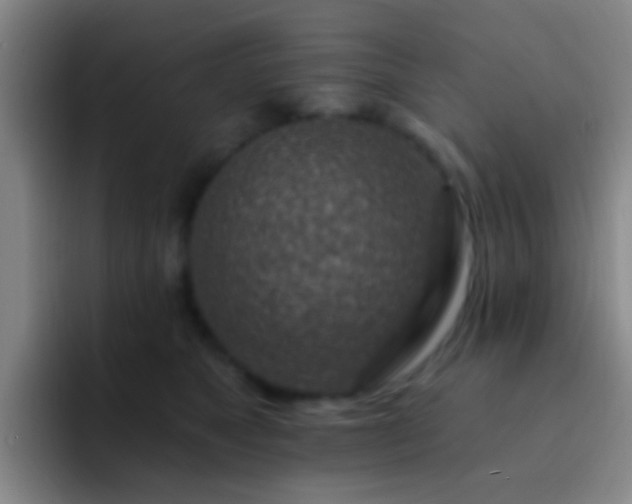 X0000092300517200709211233