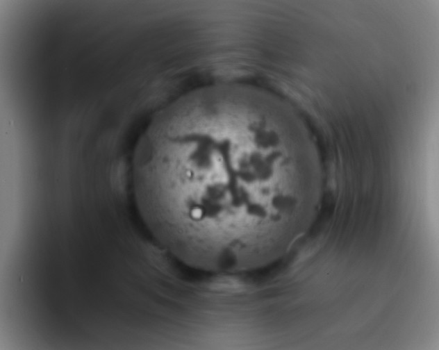 X0000092300519200709211233