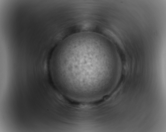 X0000092300520200709211233