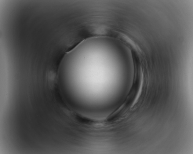 X0000092300521200709211233