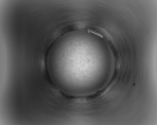 X0000092300524200709211233