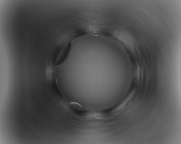 X0000092300526200709211233