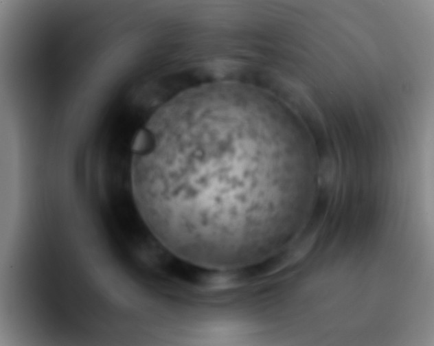 X0000092300527200709211233