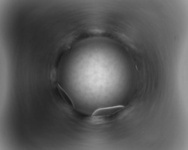 X0000092300528200709211233