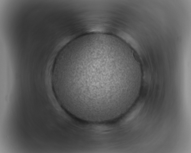 X0000092300529200709211233