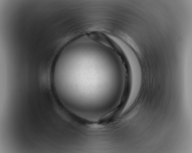 X0000092300530200709211233