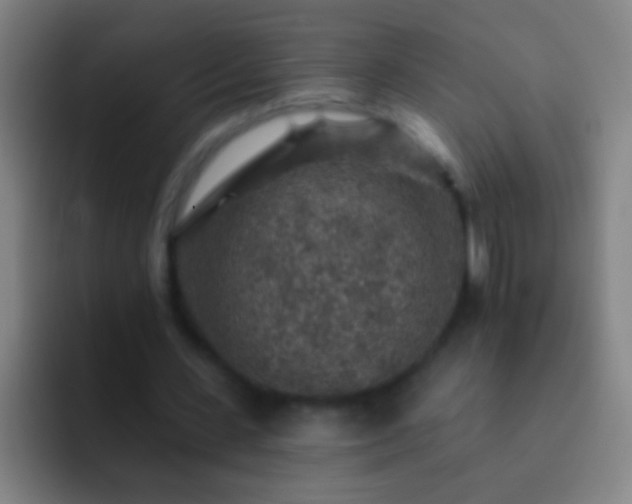 X0000092300531200709211233