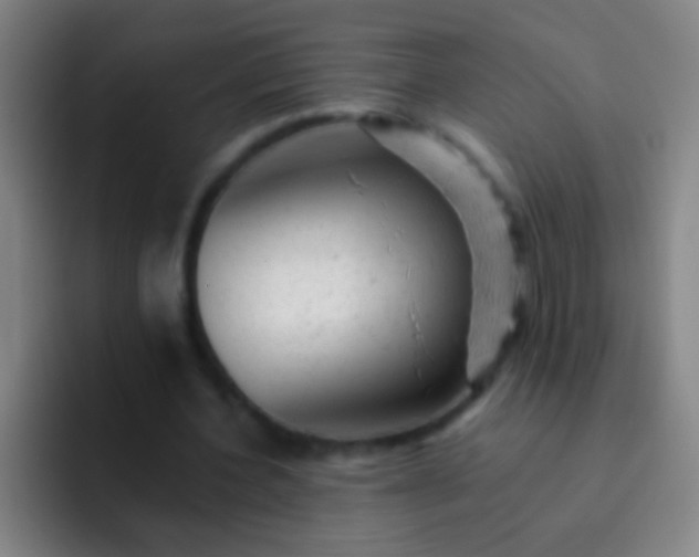 X0000092300532200709211233