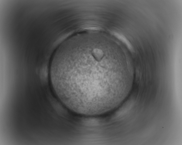 X0000092300533200709211233