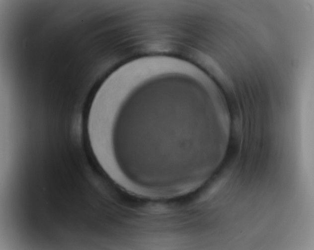 X0000092300534200709211233