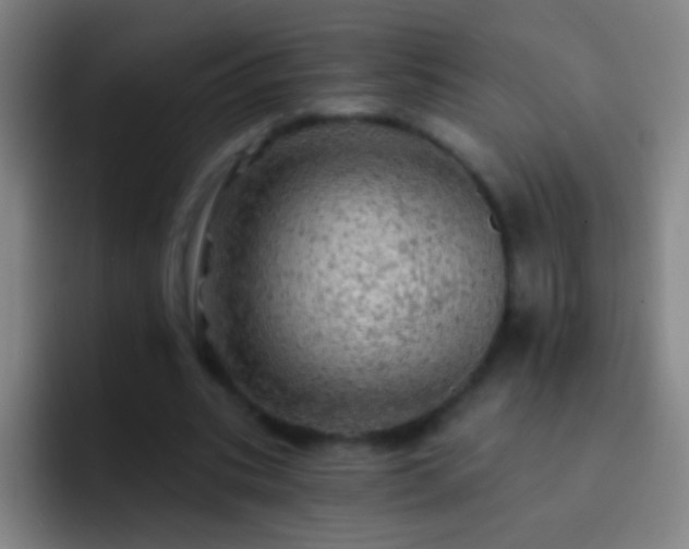 X0000092300535200709211233