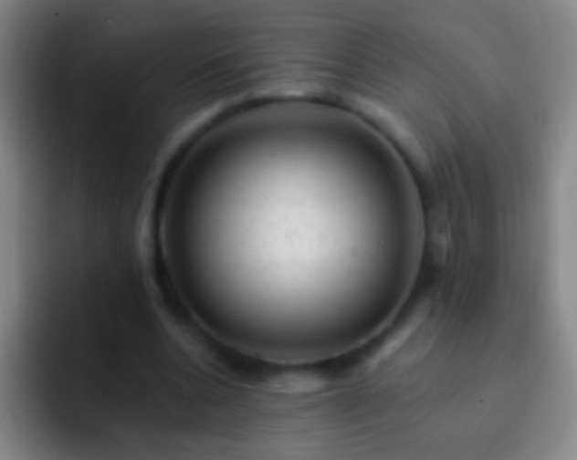 X0000092300536200709211233