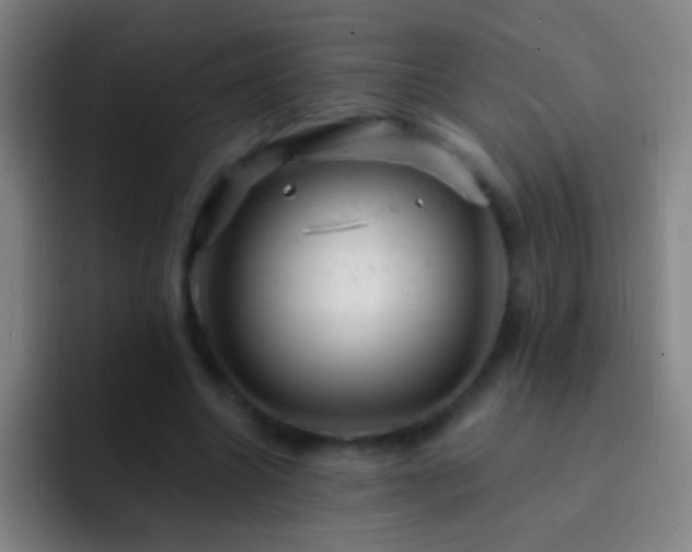 X0000092300538200709211233