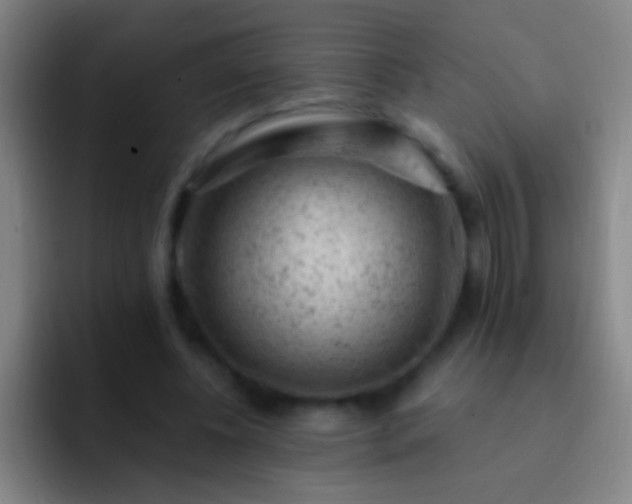 X0000092300540200709211233