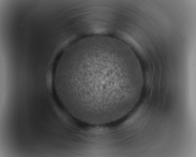 X0000092300542200709211233