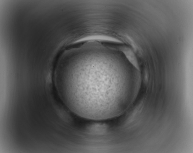X0000092300543200709211233