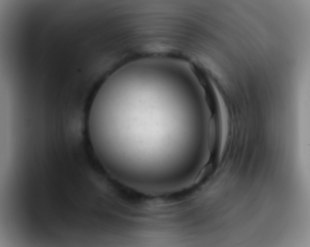 X0000092300544200709211233