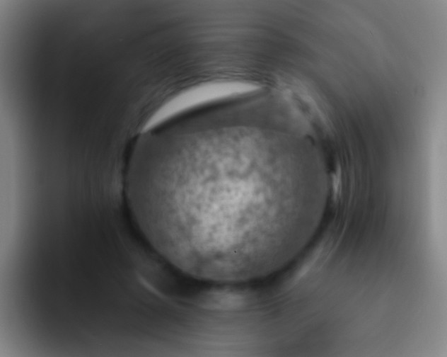 X0000092300545200709211233