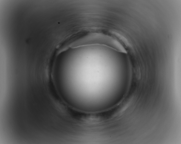 X0000092300546200709211233