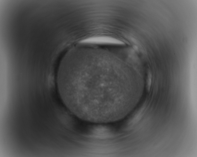 X0000092300547200709211233