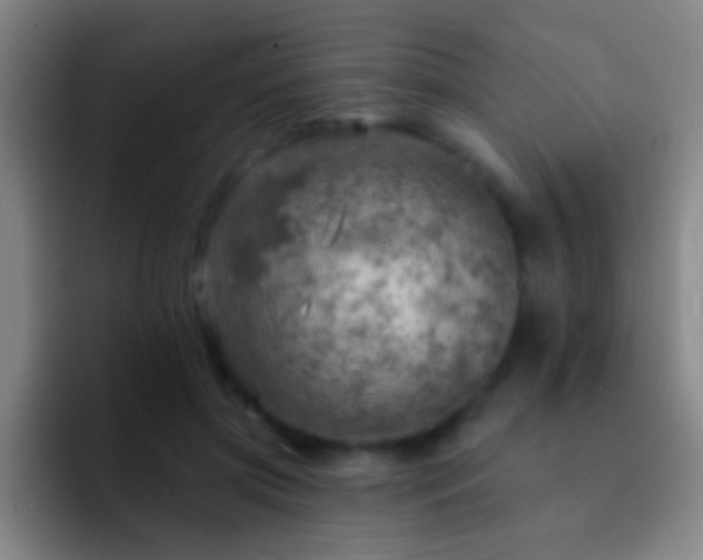 X0000092300549200709211233
