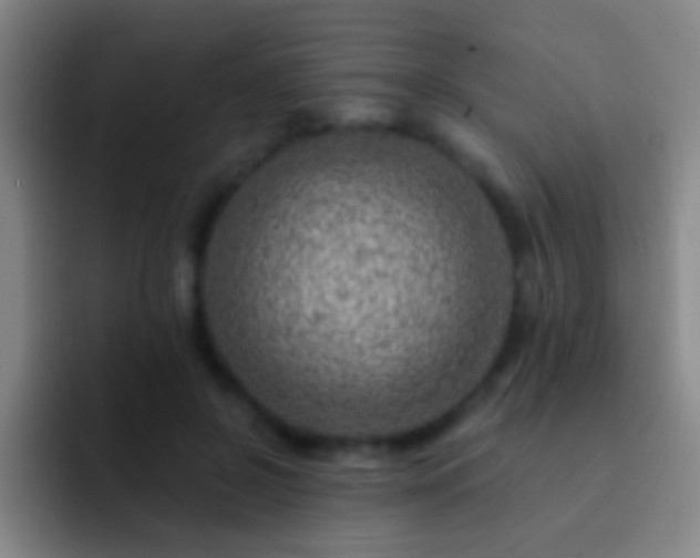 X0000092300550200709211233