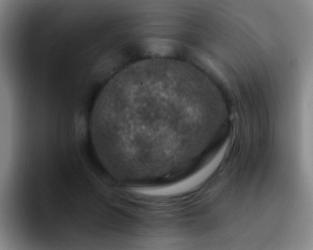 X0000092300551200709211233