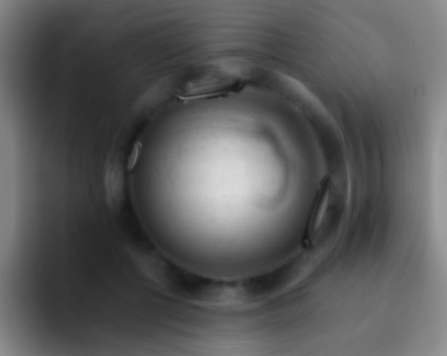 X0000092300552200709211233