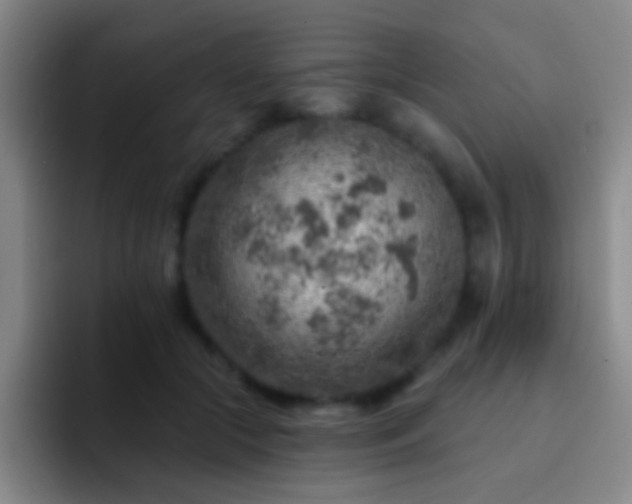 X0000092300553200709211233